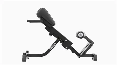 Technogym Pure Strength Lower Back Bench PG05